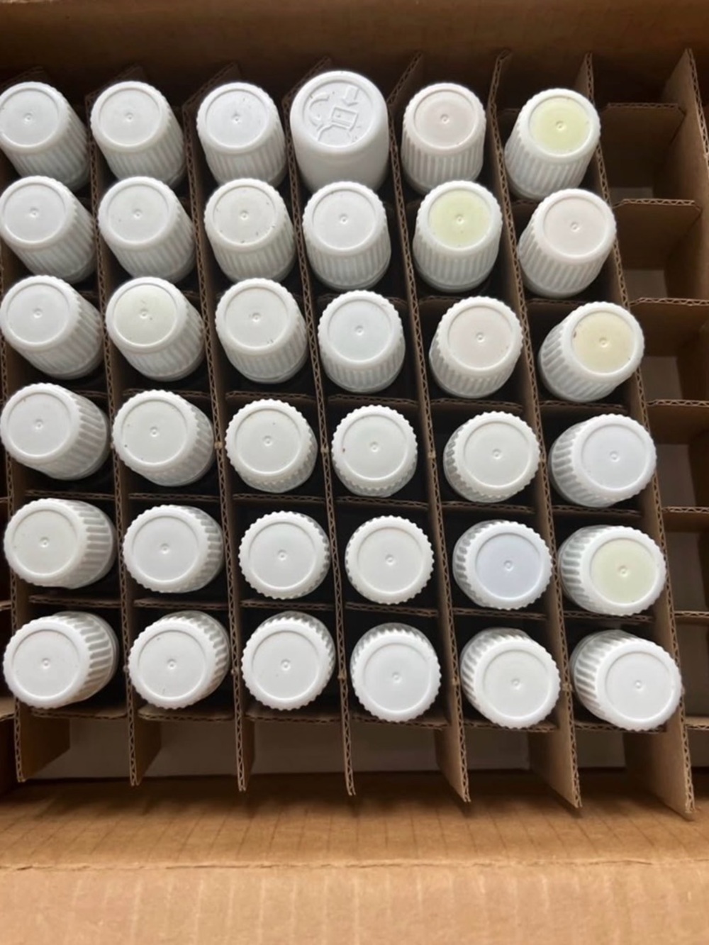 Young Living Essential Oils Premier Aroma Collection Box - 120ct NEW in Box